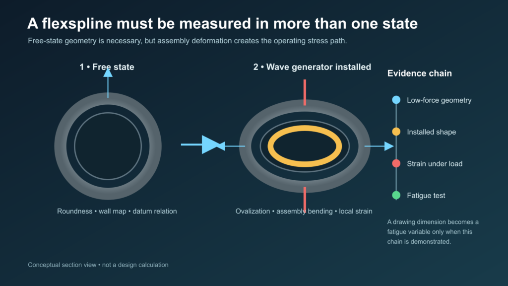 Free, installed and loaded flexspline states linked to geometry, strain and fatigue evidence